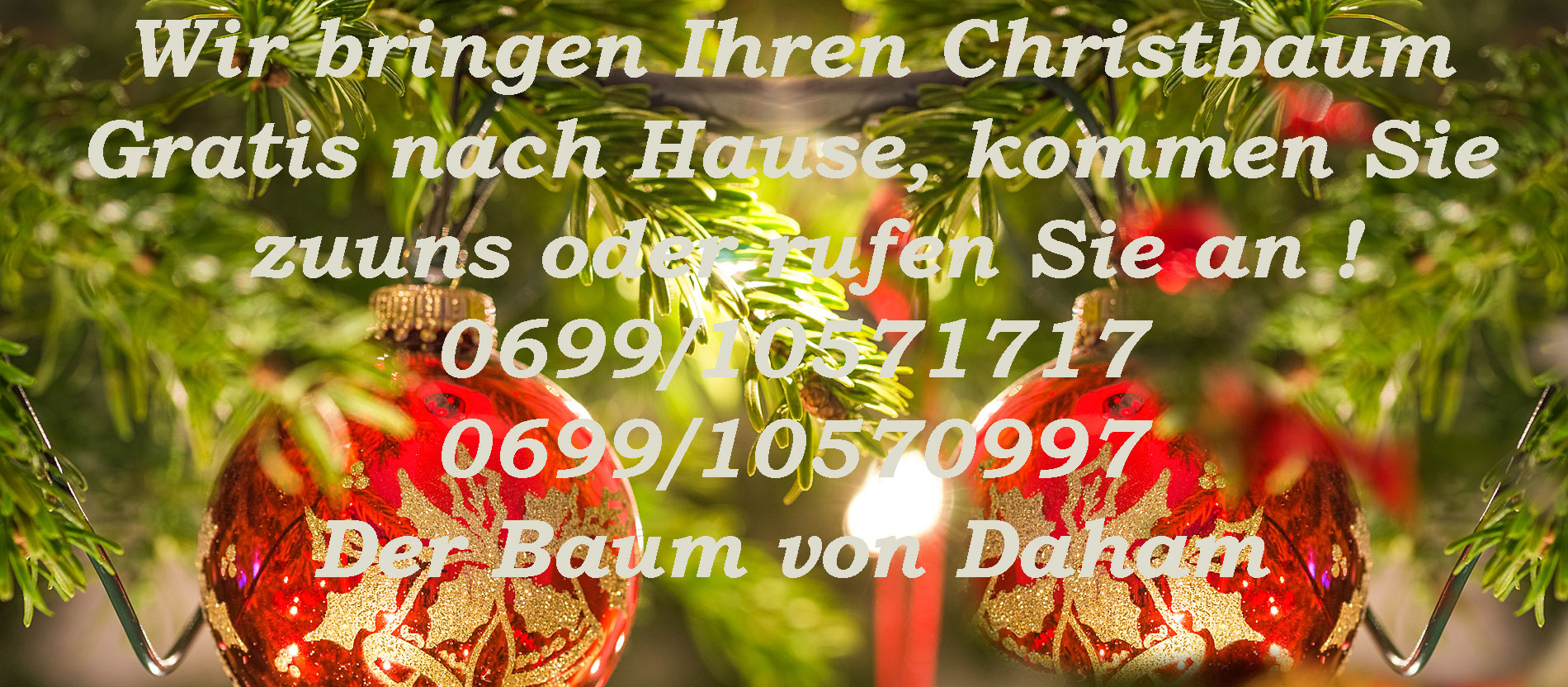 christbaum gratis nach hause