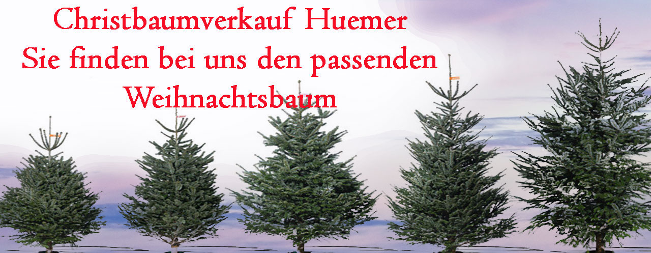 weihnachtsbaum