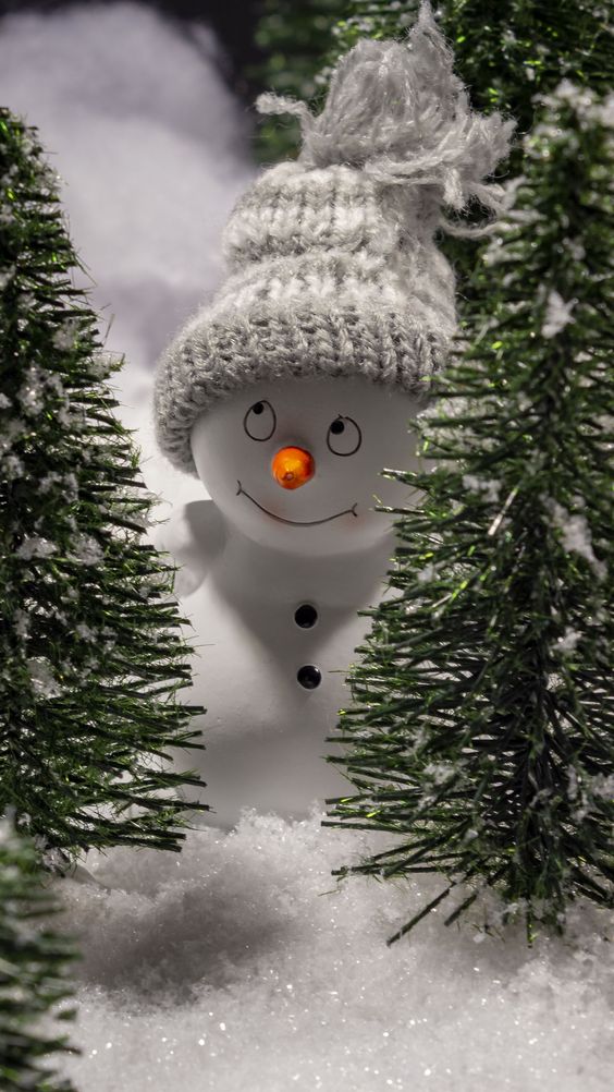 christbaumverkaufnussbach