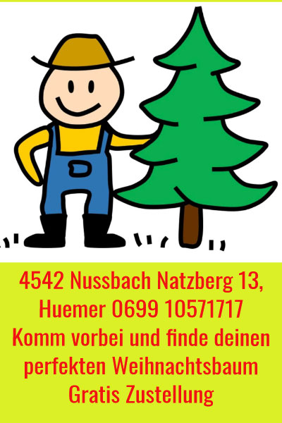 christbaumzustellung